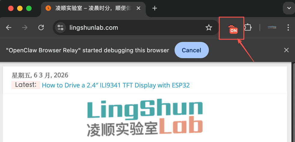 image-20260306124413421